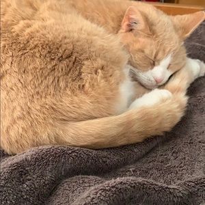 Meet your Posher, Haley